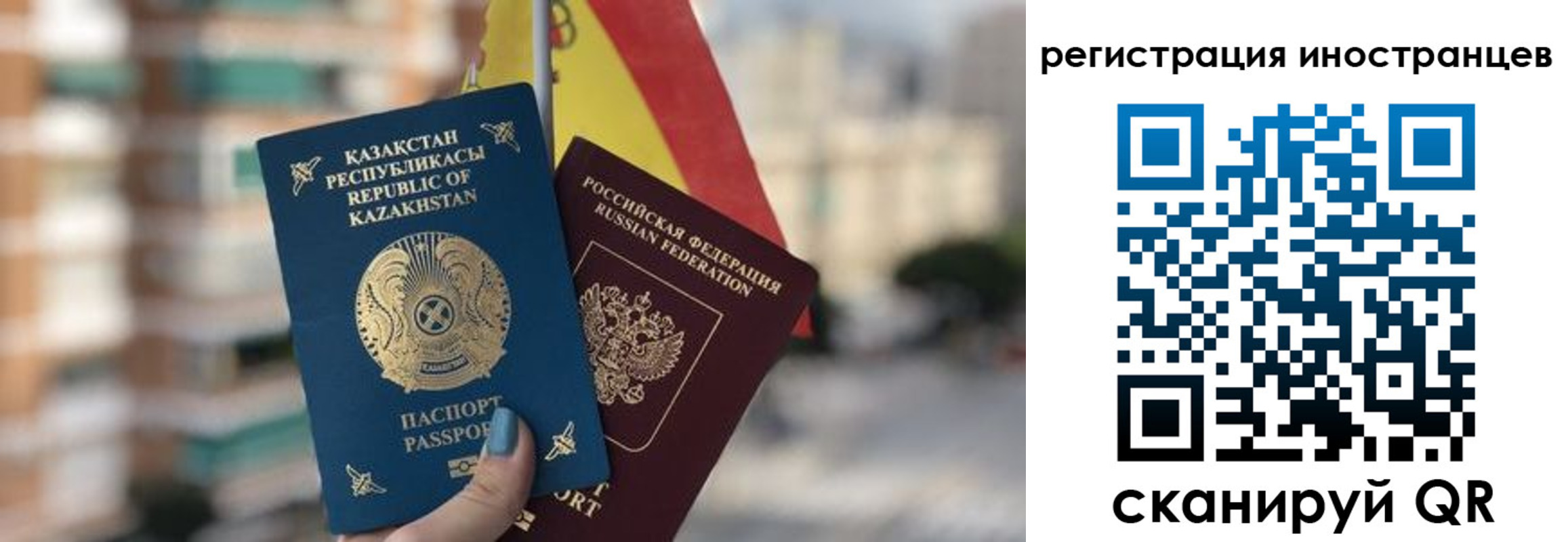 прописка паспорт в Павловске